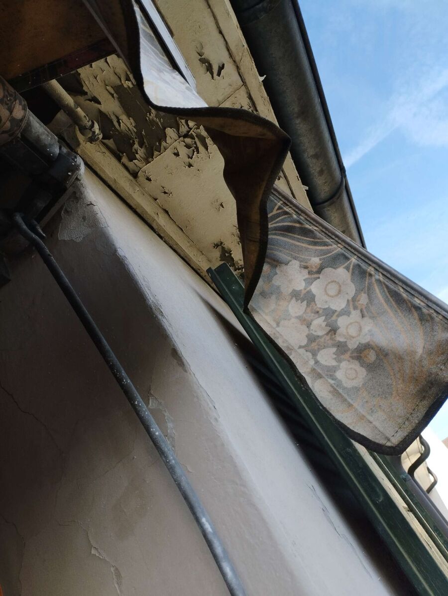 essaim d abeille enlevement