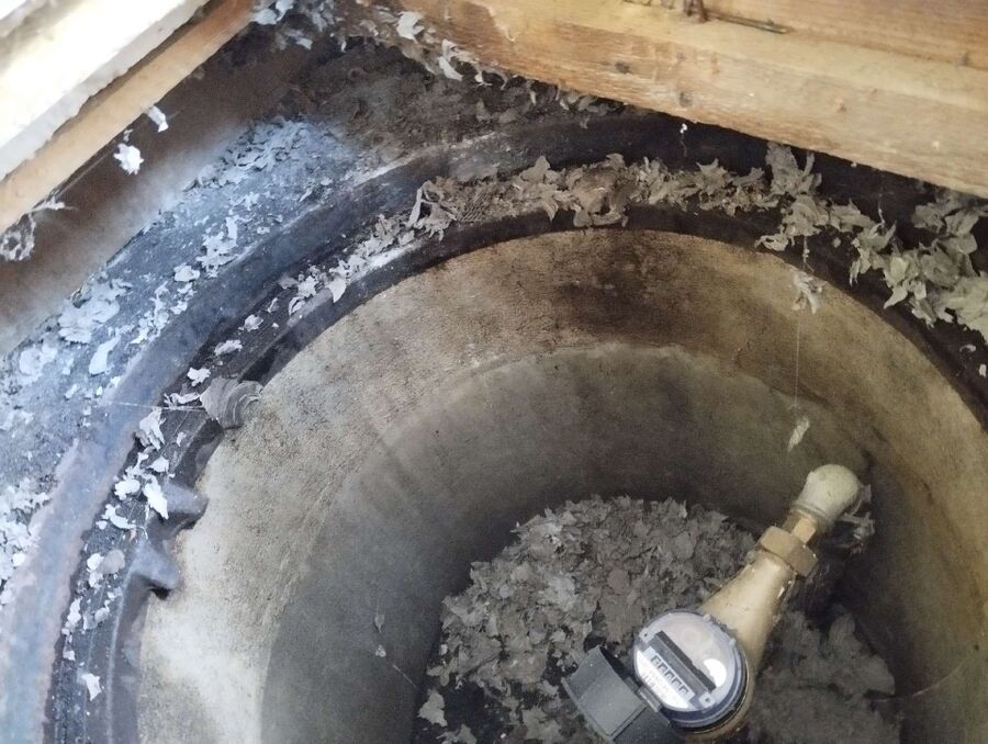 nid d abeille que faire