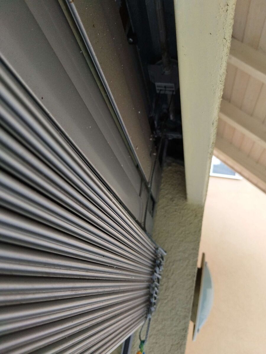 essaim d abeille enlevement