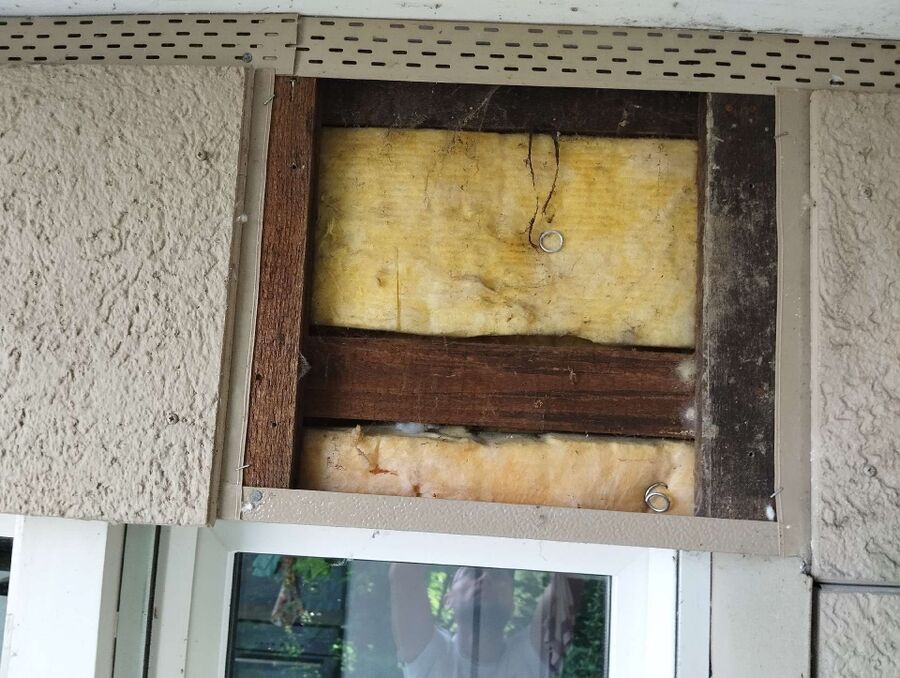 essaim d abeille enlevement