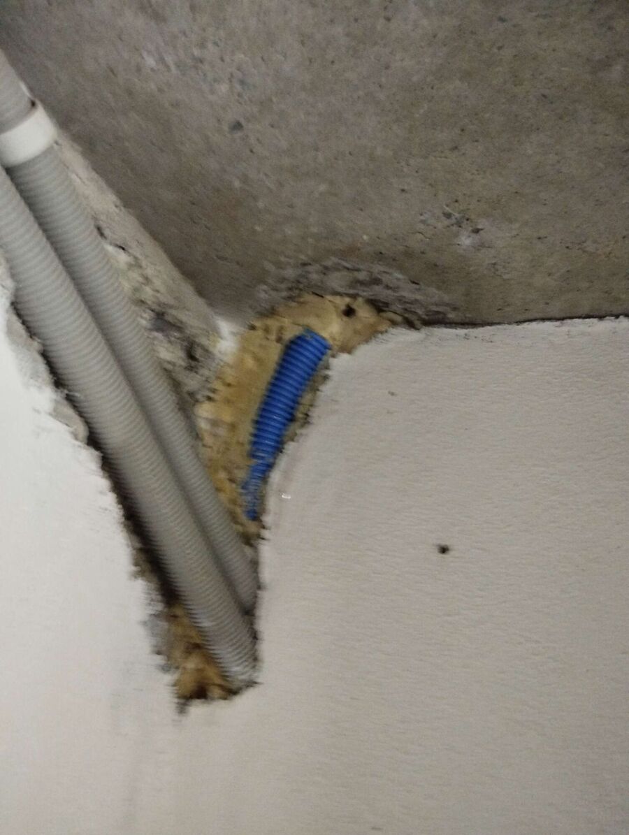 ruche abeille maison que faire