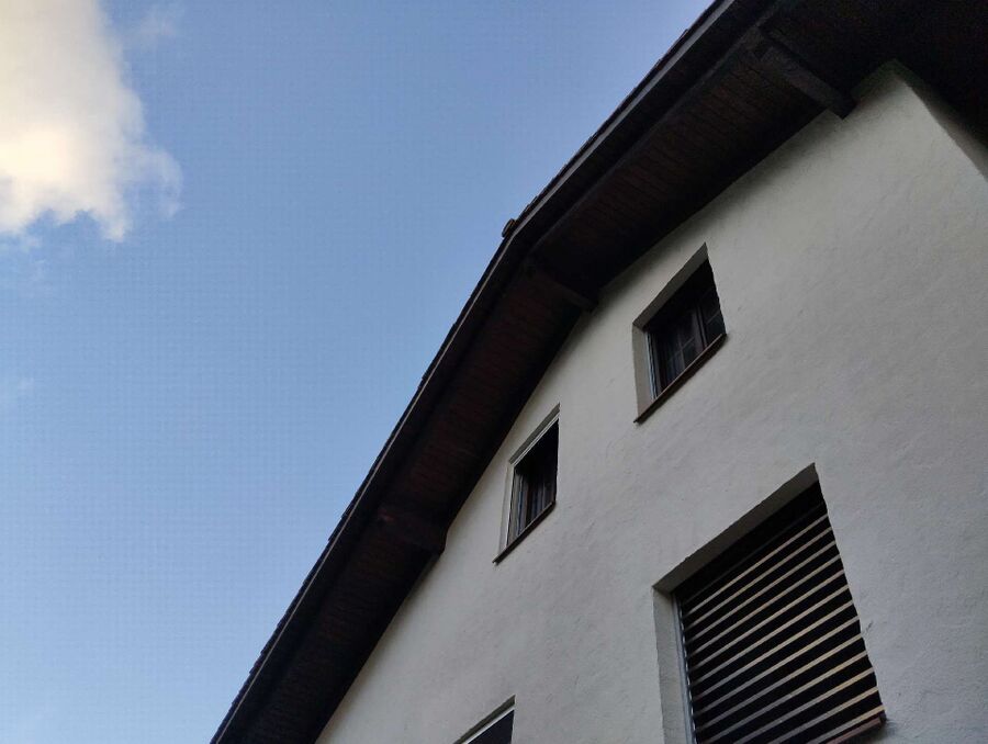 essaim d abeille enlevement