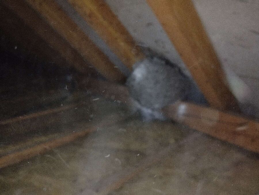 enlever un nid d abeille