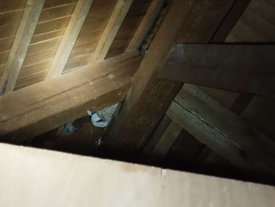 enlever un nid d abeille