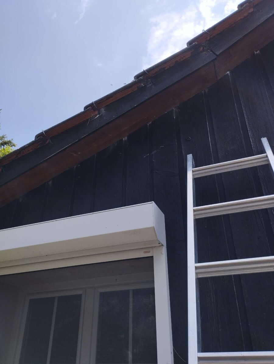 nid d abeille que faire