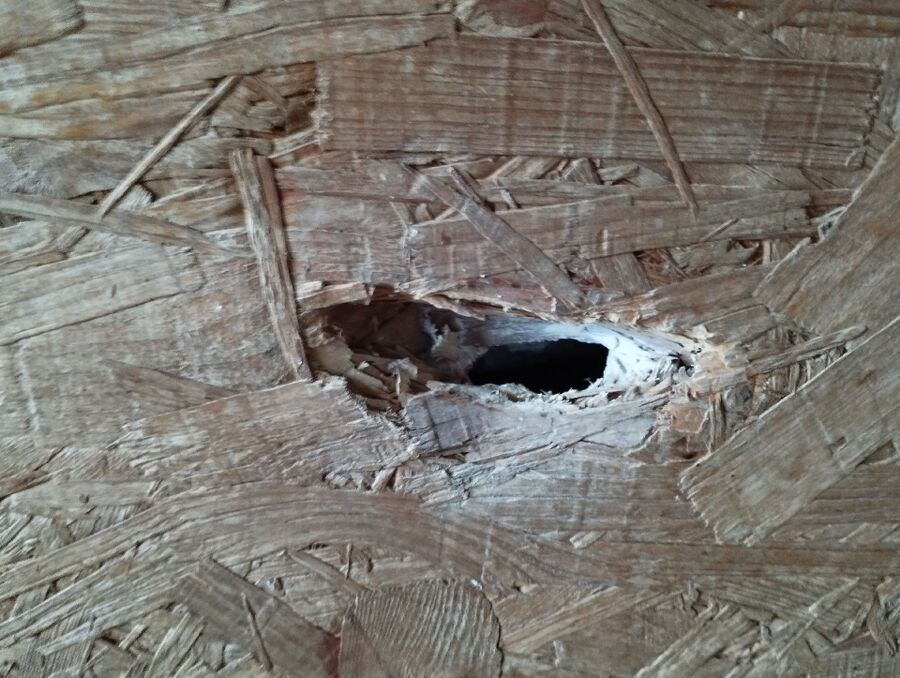 enlever un nid d abeille