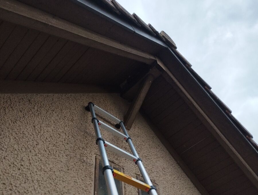 nid d abeille que faire