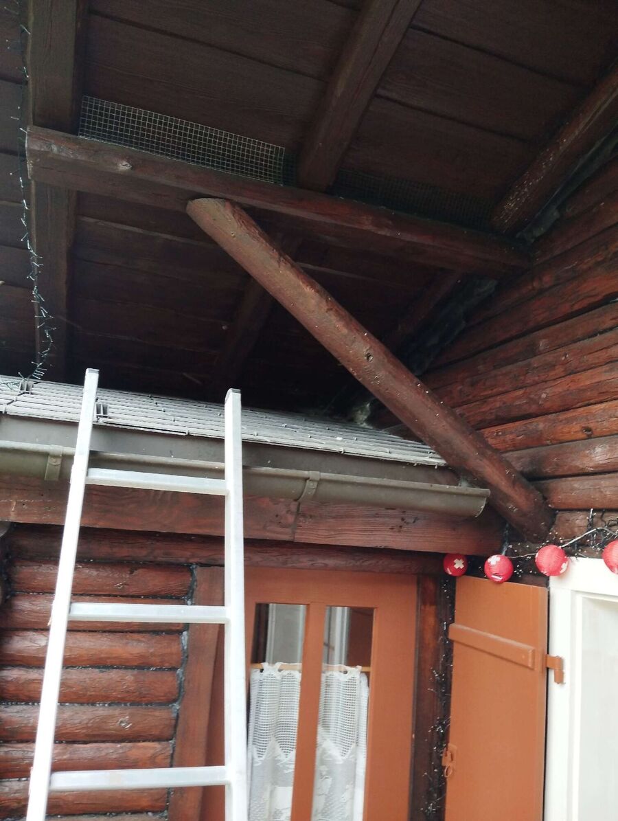 nid d abeille que faire