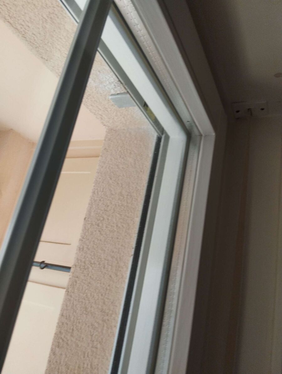 essaim d abeille enlevement