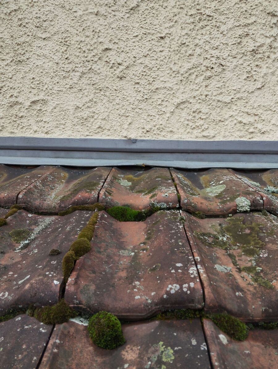 ruche abeille maison que faire