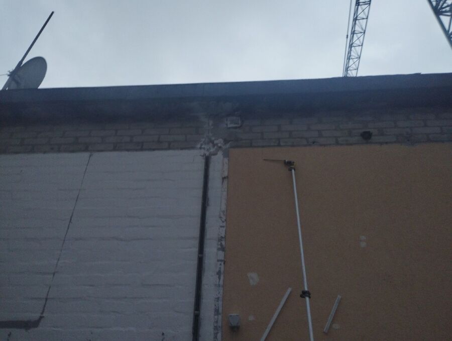 essaim d abeille enlevement