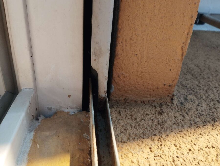 ruche abeille maison que faire