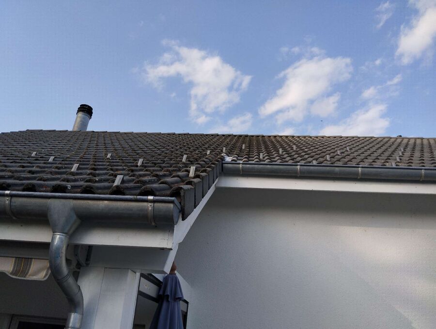 enlever un nid d abeille