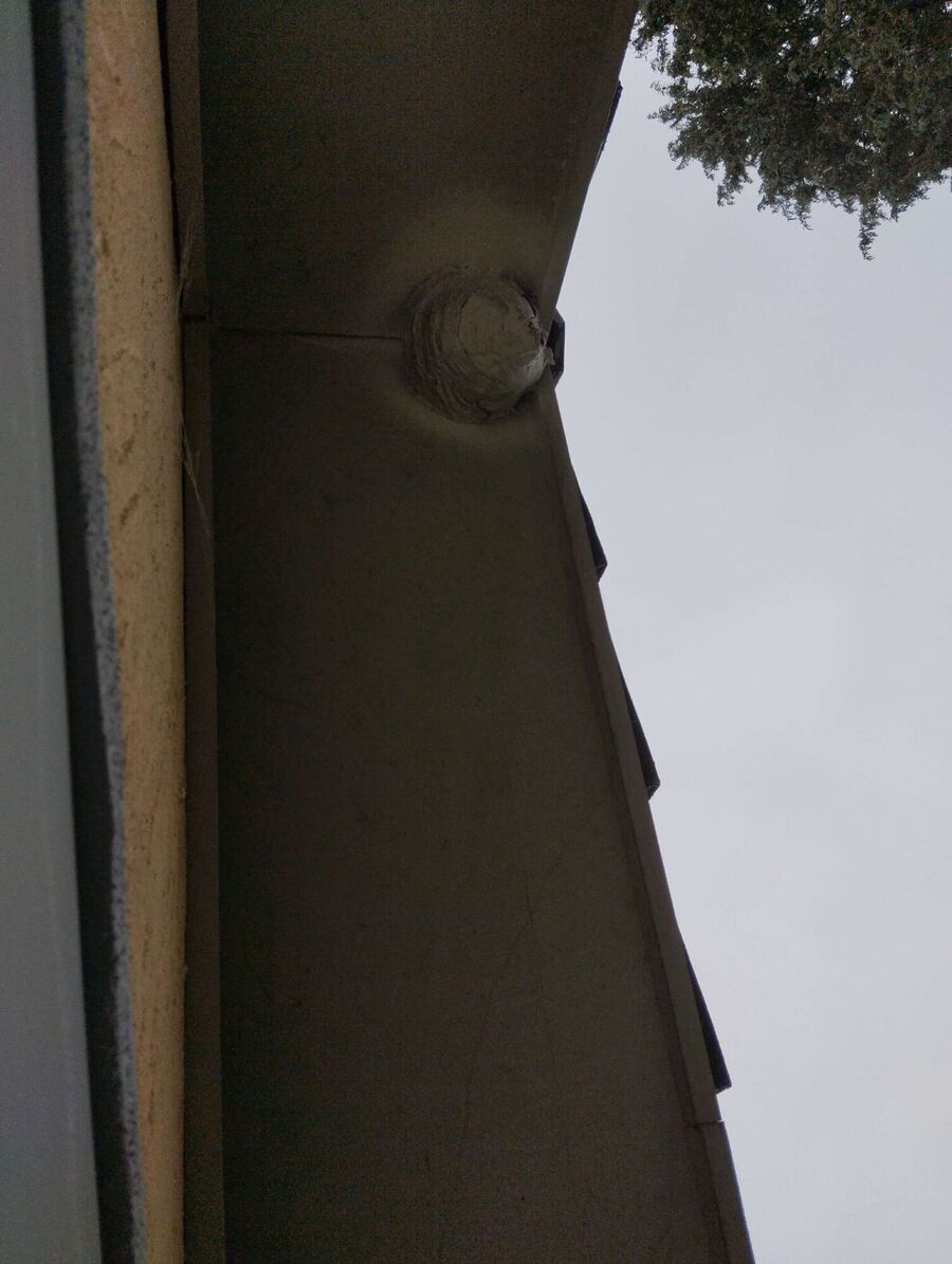 enlever un nid d abeille