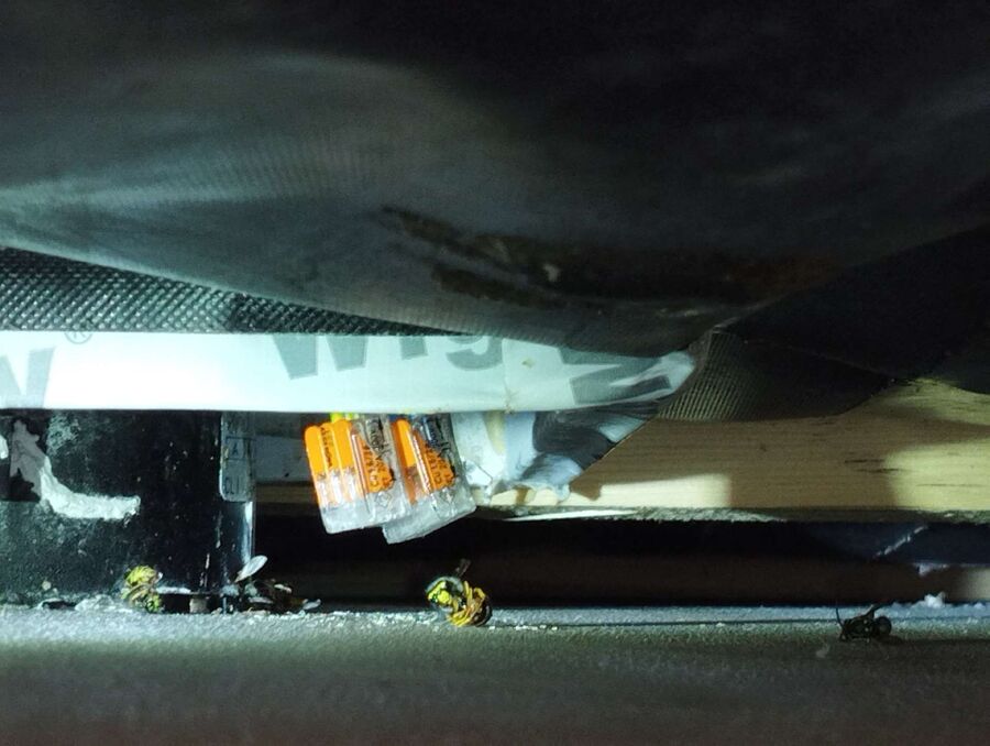 ruche abeille maison que faire