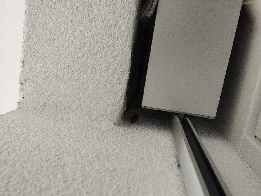 enlever un nid d abeille