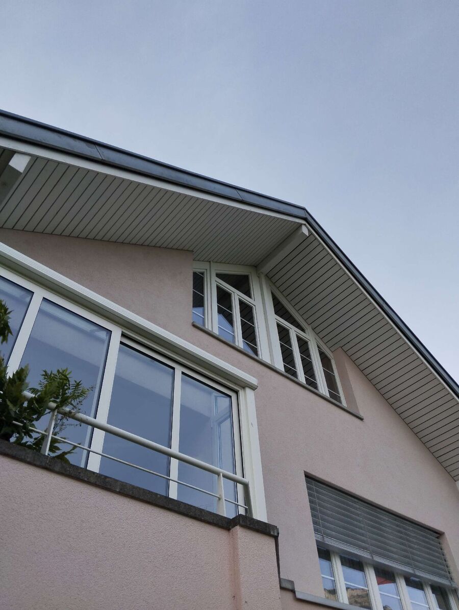 ruche abeille maison que faire