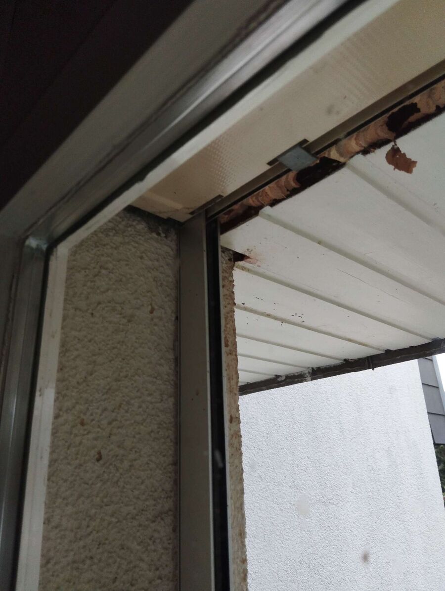 essaim d abeille enlevement