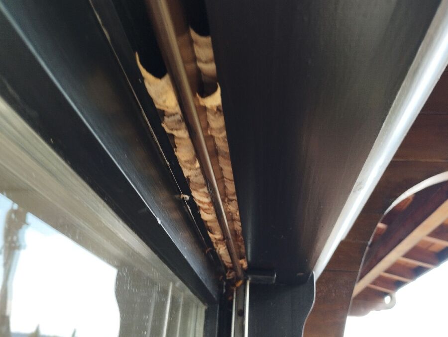 enlever un nid d abeille