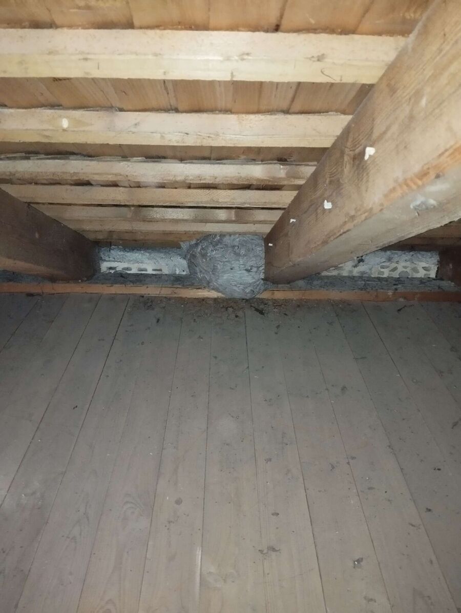 enlever un nid d abeille