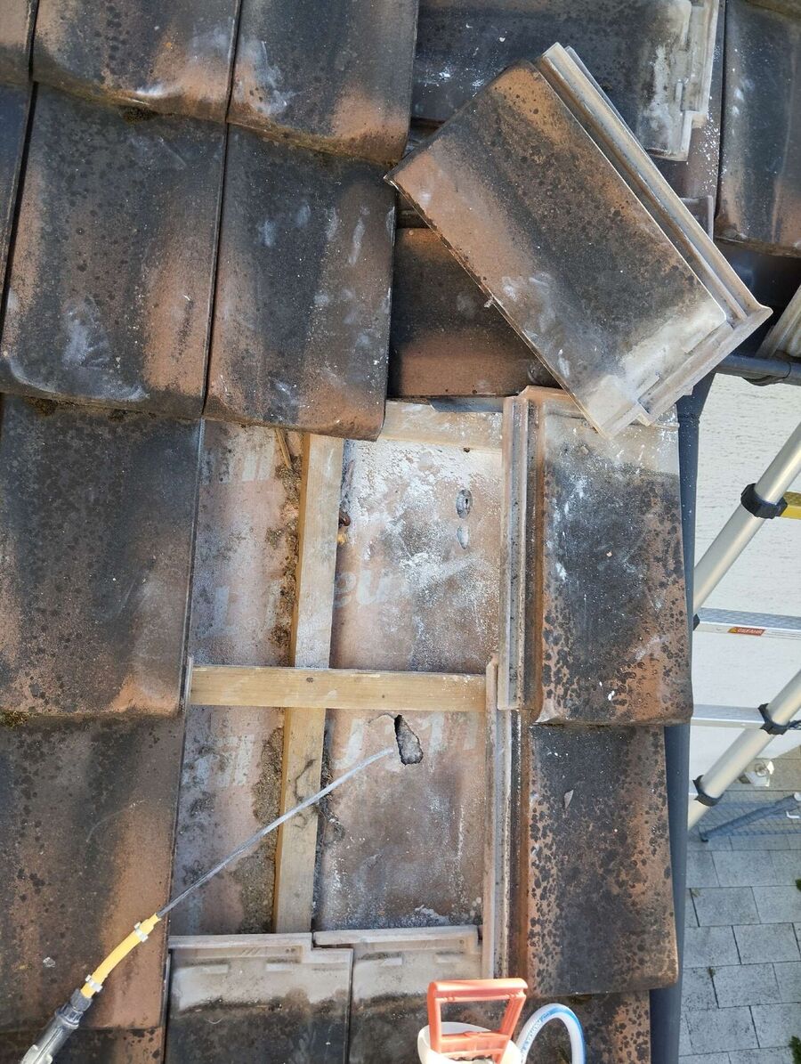 ruche abeille maison que faire