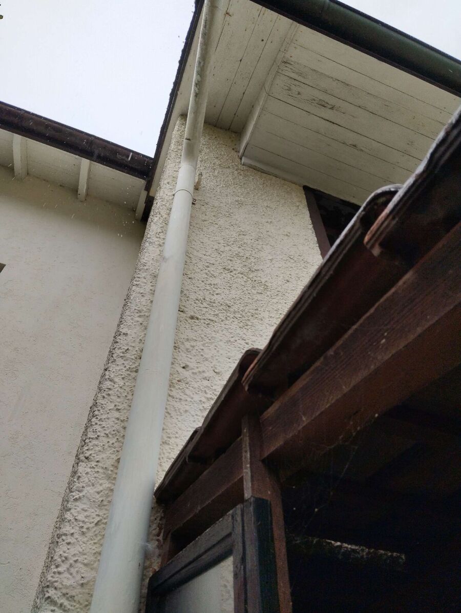 ruche abeille maison que faire