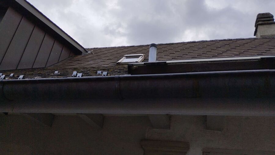 ruche abeille maison que faire