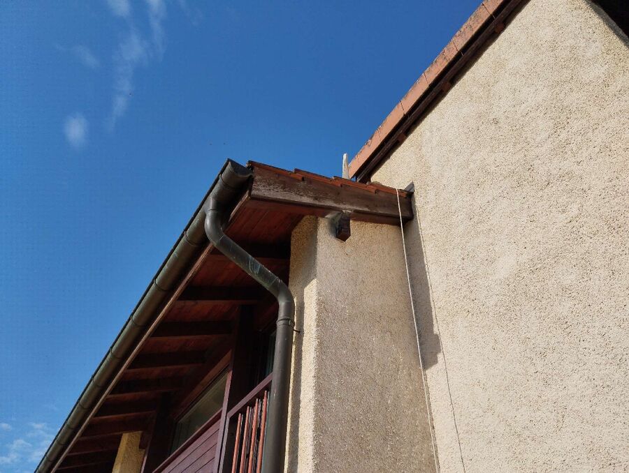 ruche abeille maison que faire