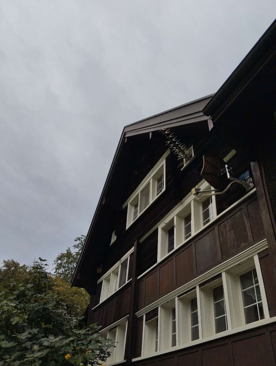 nid d abeille que faire