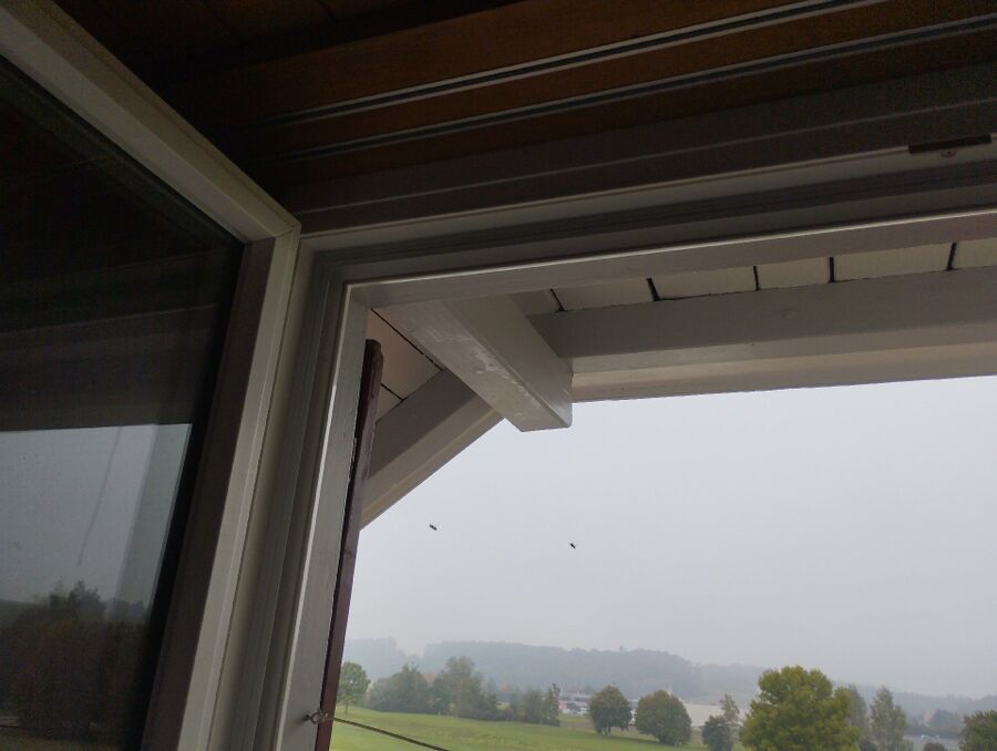 ruche abeille maison que faire