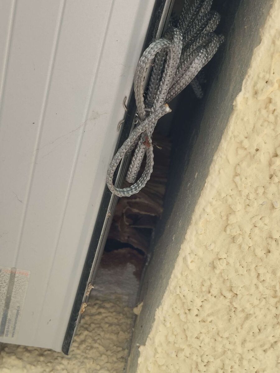 essaim d abeille enlevement