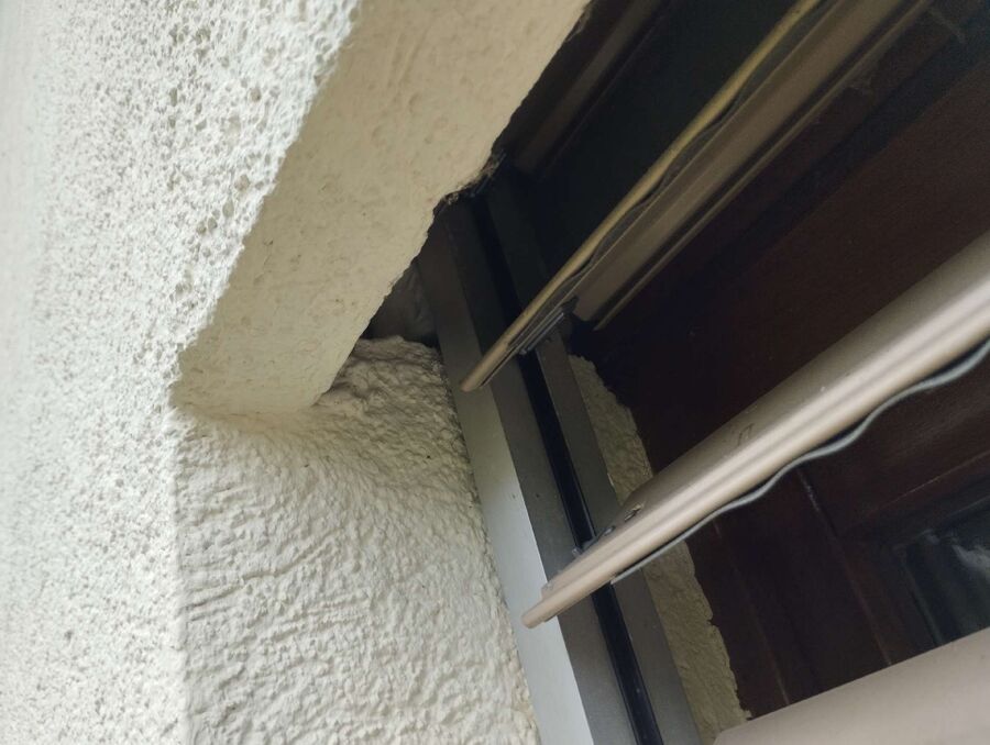 essaim d abeille enlevement