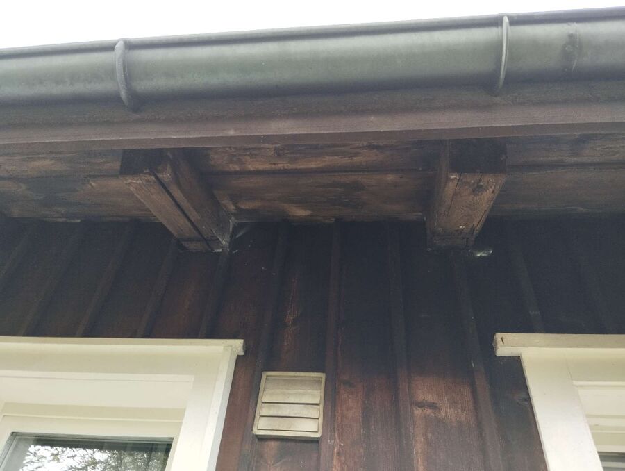 essaim d abeille enlevement