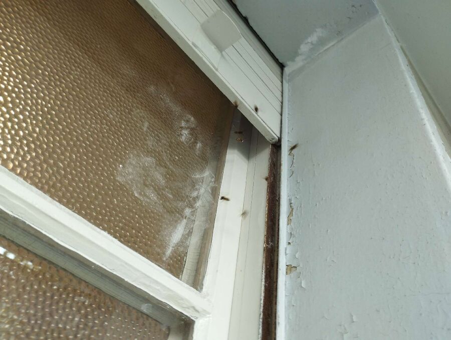 nid d abeille que faire