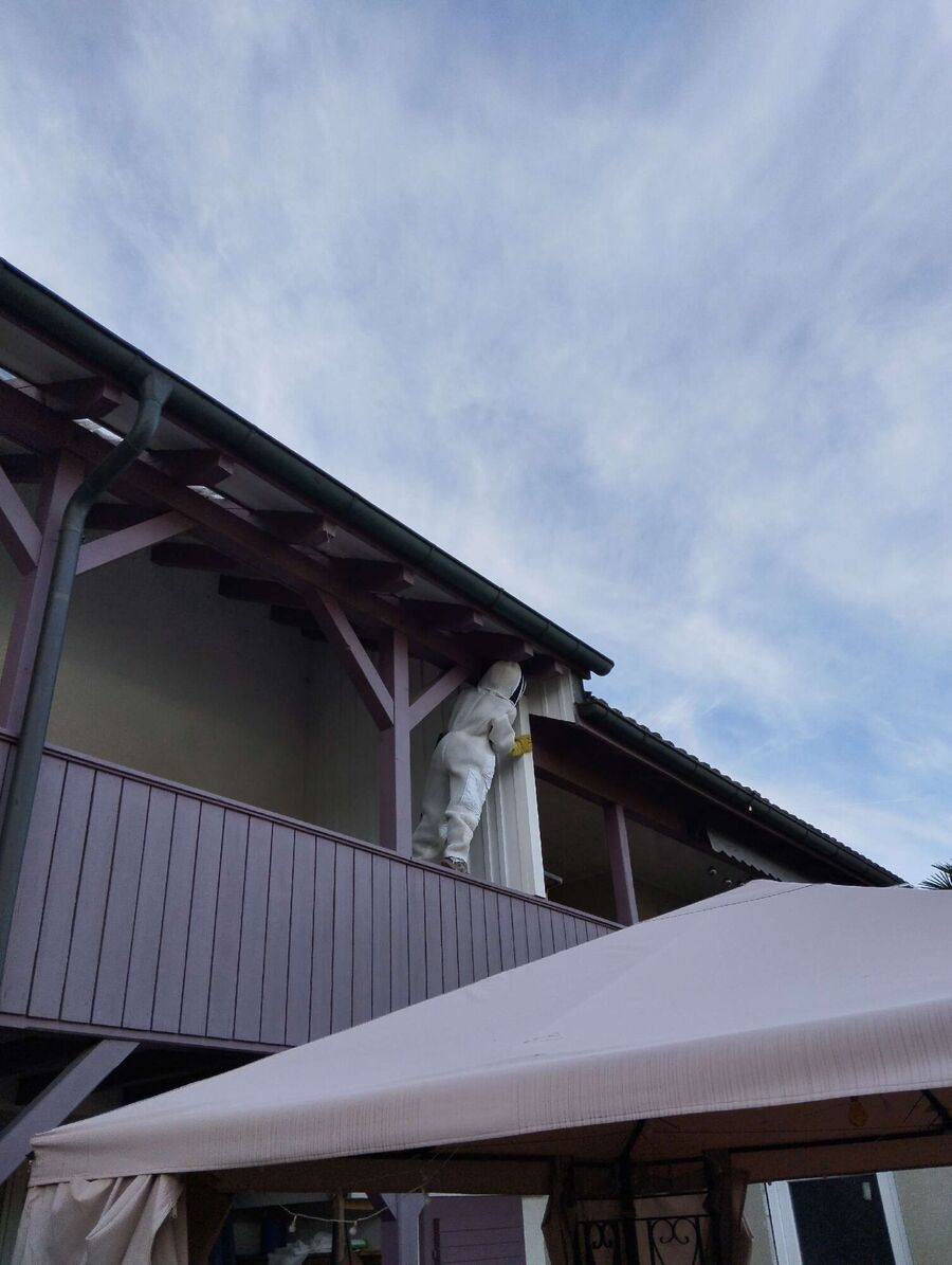 enlever un nid d abeille