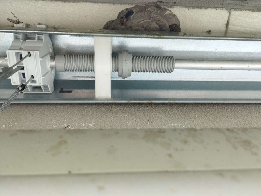 ruche abeille maison que faire