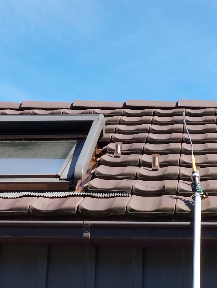 nid d abeille que faire