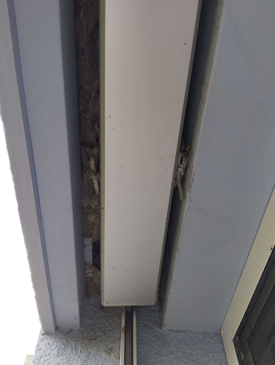 nid d abeille que faire