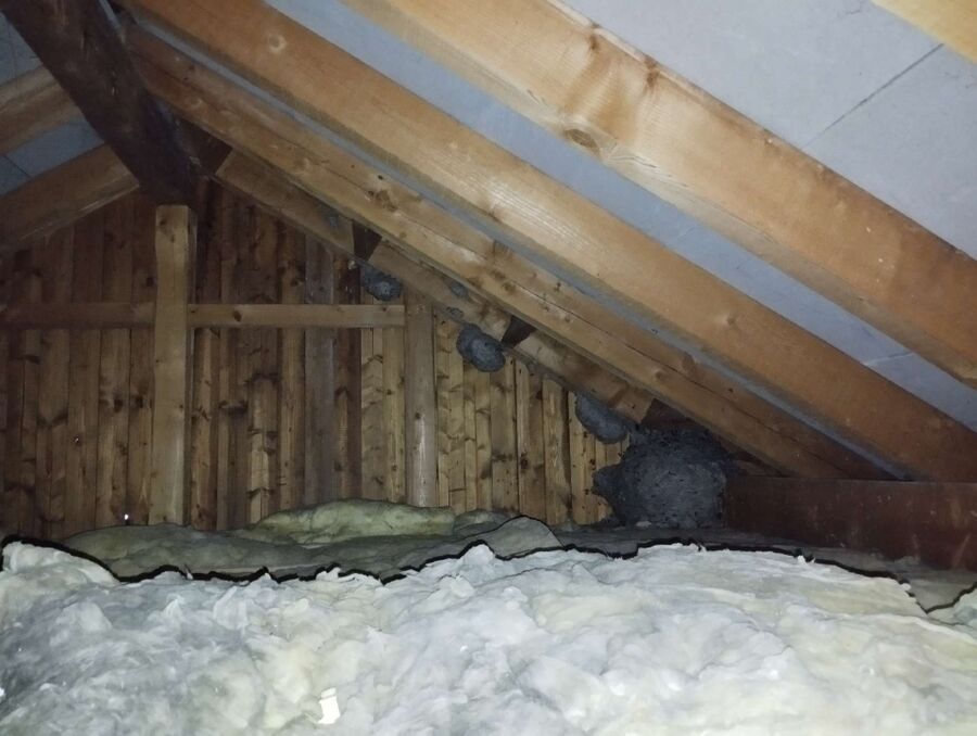 nid d abeille que faire