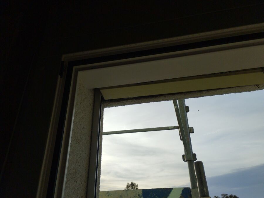 essaim d abeille enlevement