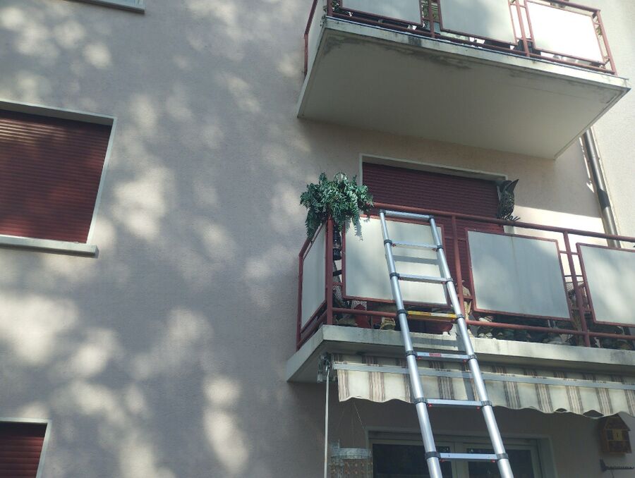 enlever un nid d abeille