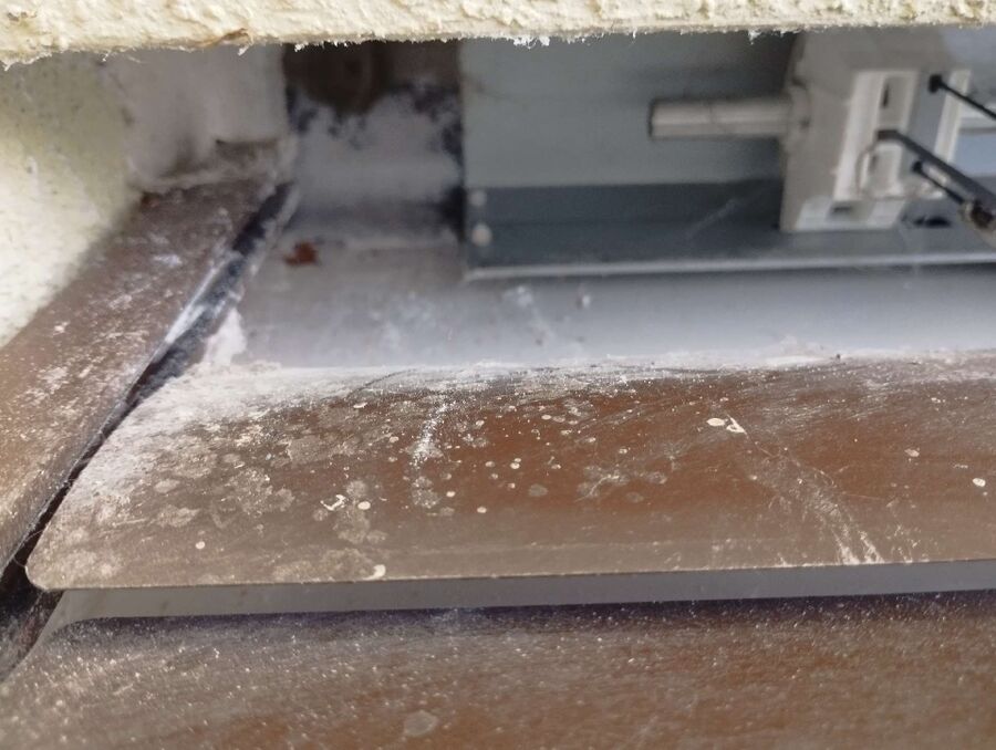 essaim d abeille enlevement