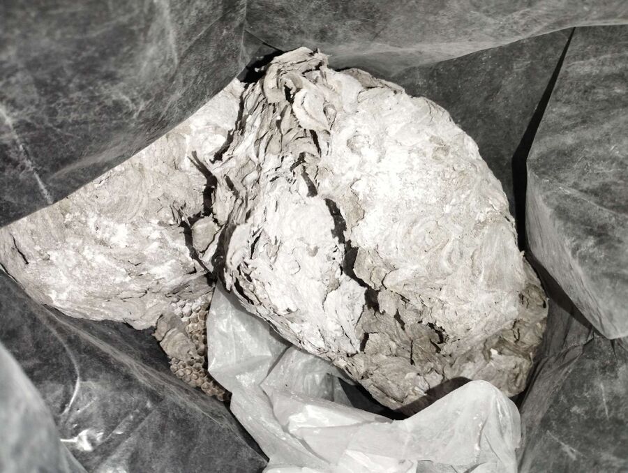 nid d abeille que faire