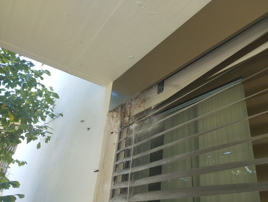 nid d abeille que faire