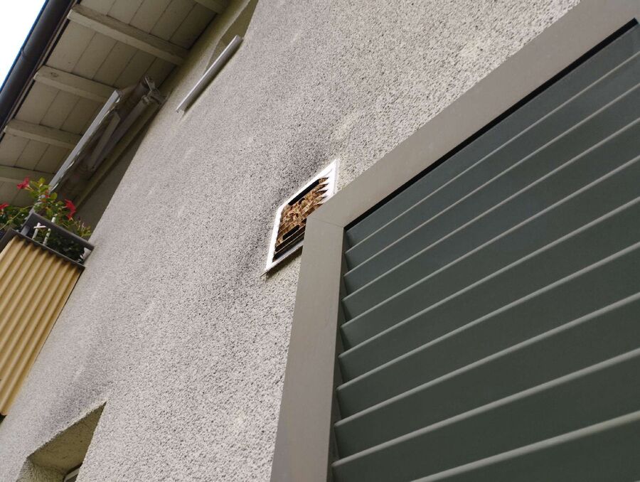 essaim d abeille enlevement