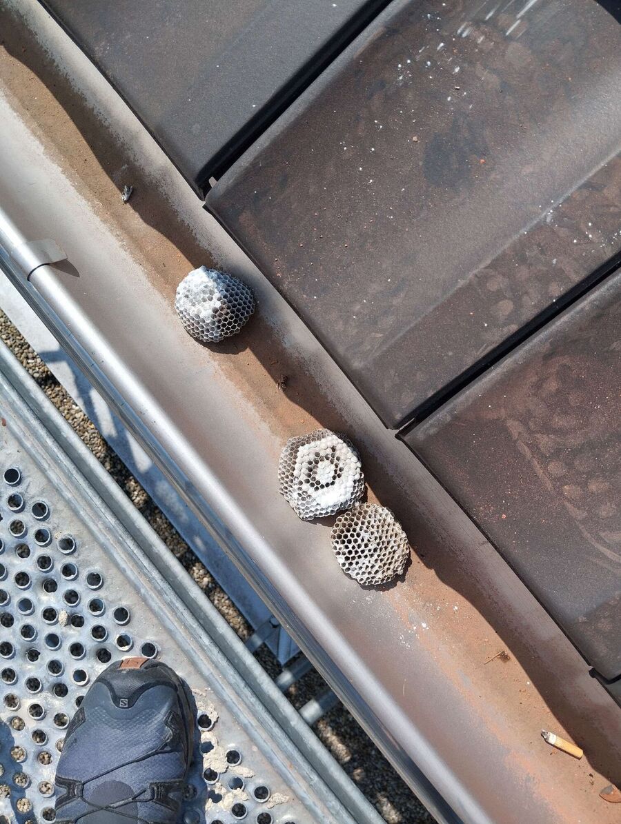 enlever un nid d abeille