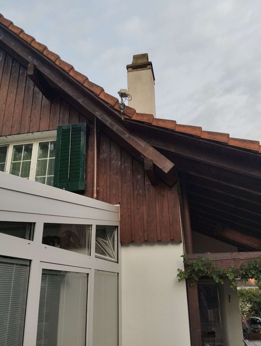 ruche abeille maison que faire