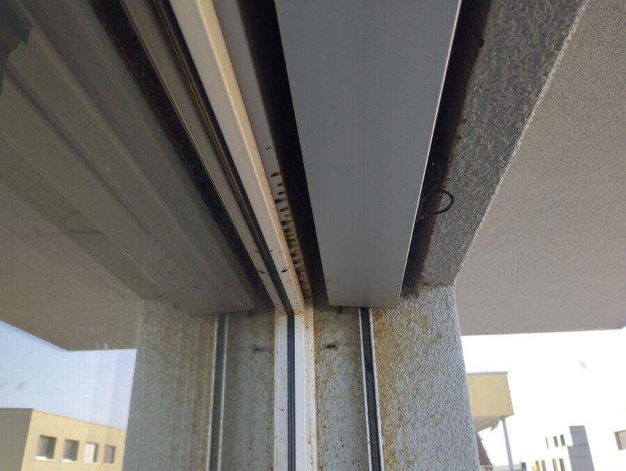 enlever un nid d abeille