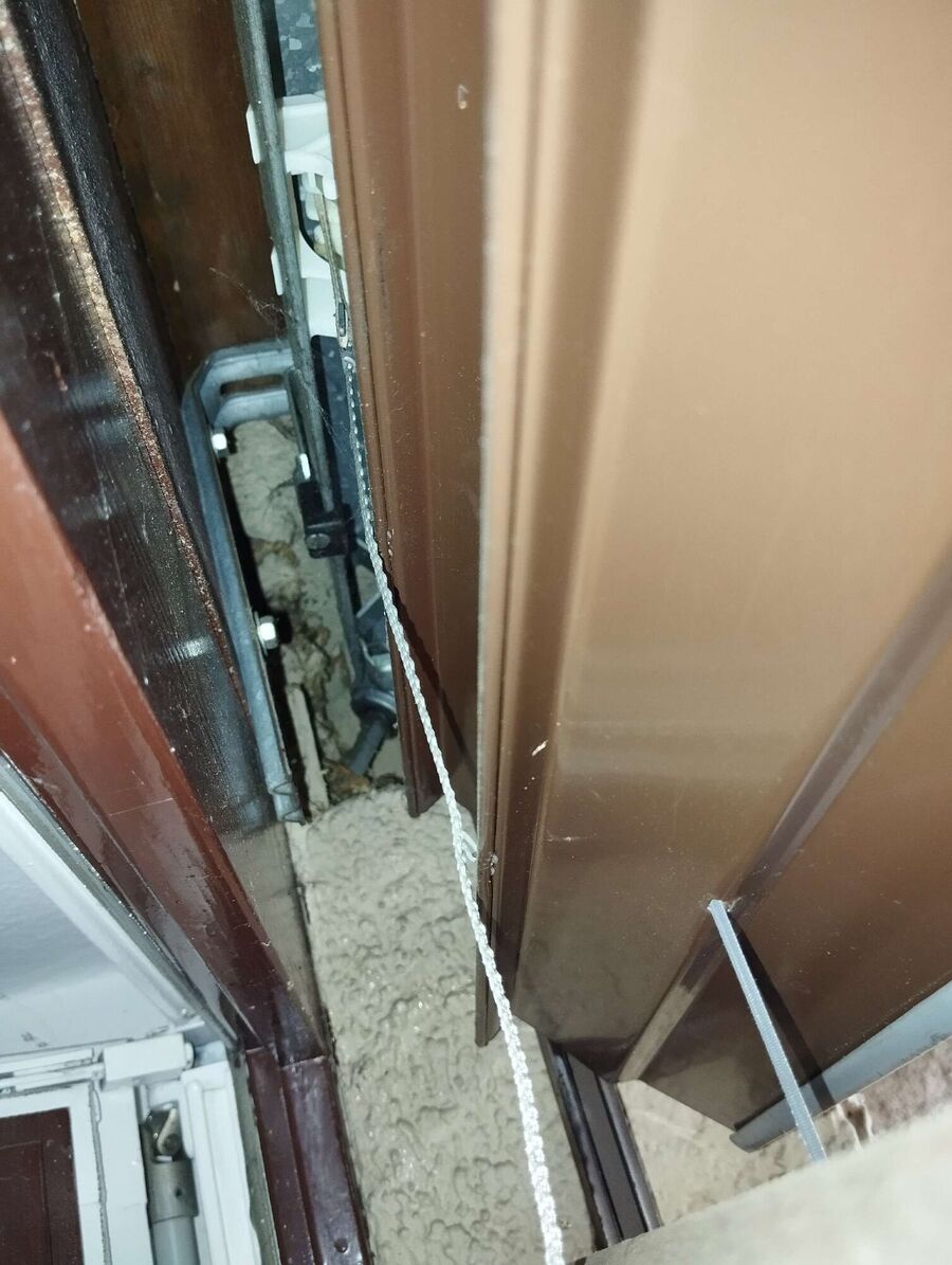 ruche abeille maison que faire