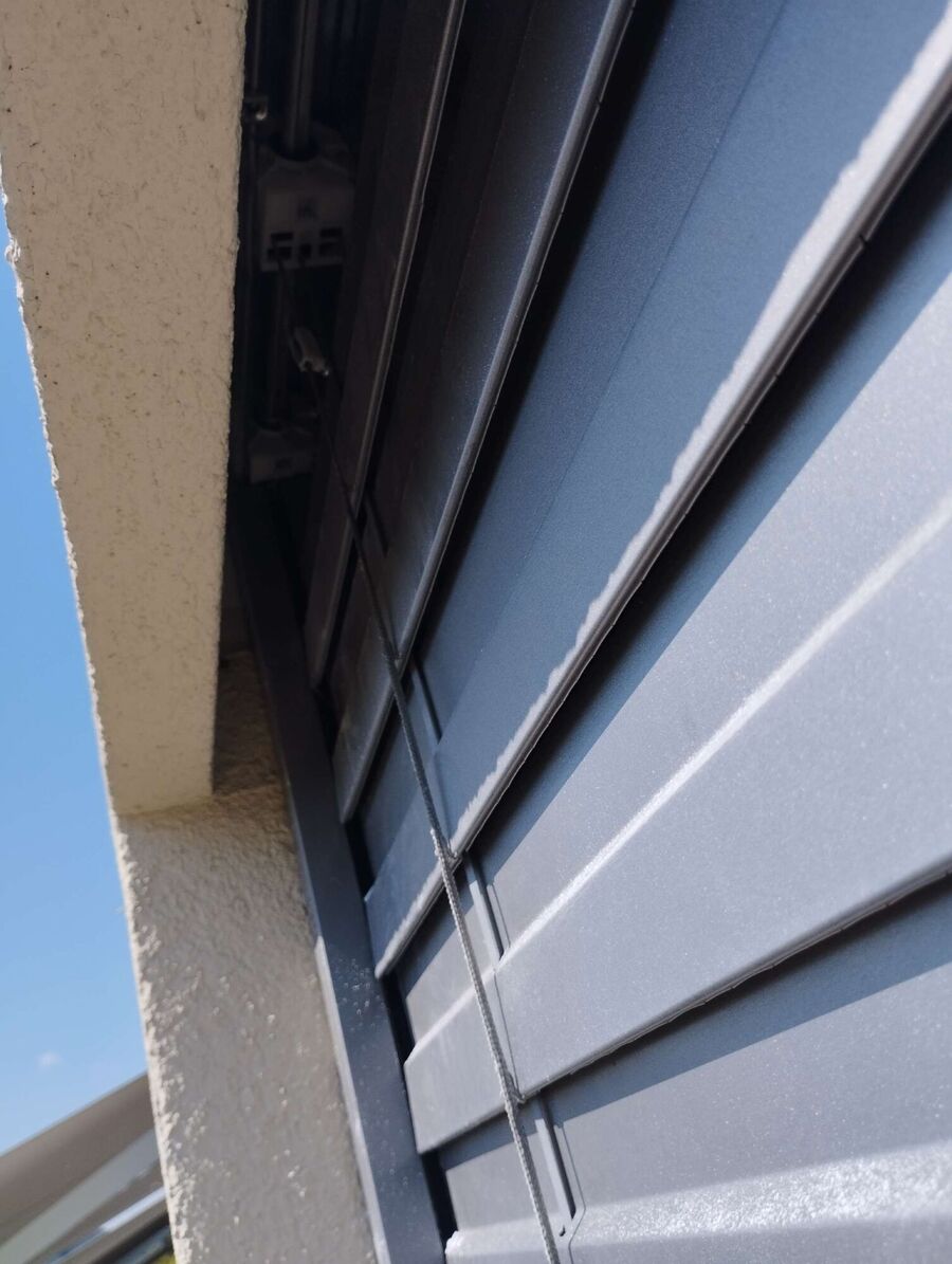 essaim d abeille enlevement